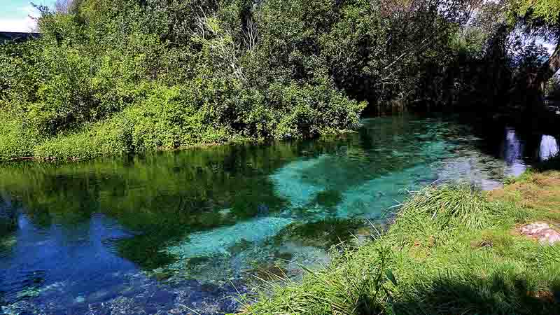 Join Rotorua Sight-Fishing Adventures for an incredible guided fishing trip on the beautiful waters of Lake Rotorua!